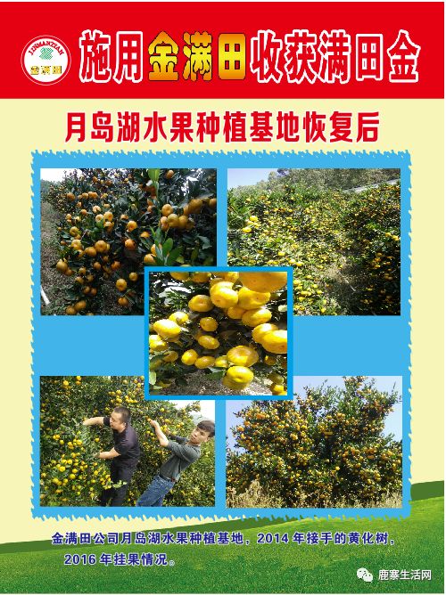 是什么讓這個基地碩果累累？鹿寨柑橘大咖現場授課，誠邀您來參加